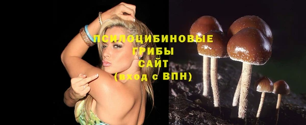 СК Строитель